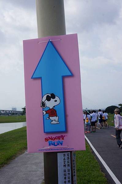 DSC00118-1024.jpg DSC00118-1024.jpg