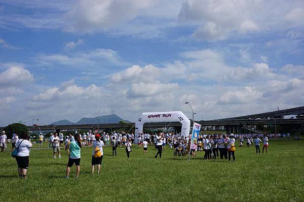 DSC00187-1024.jpg DSC00187-1024.jpg