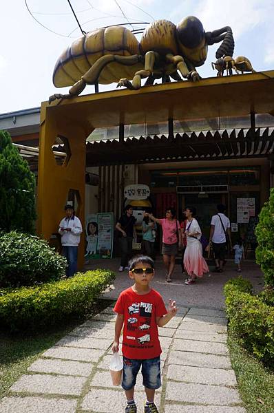 DSC09533-1024.jpg DSC09533-1024.jpg