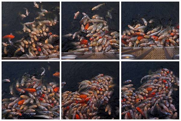 P07-1024.jpg P07-1024.jpg