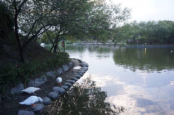 DSC01063-1024.jpg DSC01063-1024.jpg