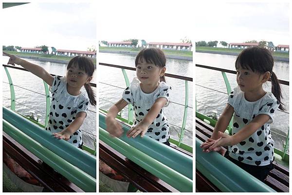 P11-1024.jpg P11-1024.jpg