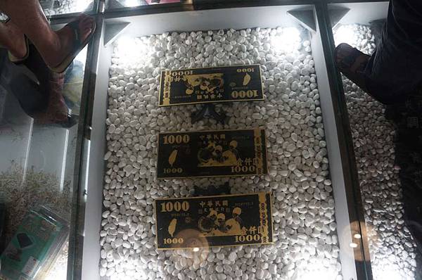 DSC01494-1024.jpg DSC01494-1024.jpg