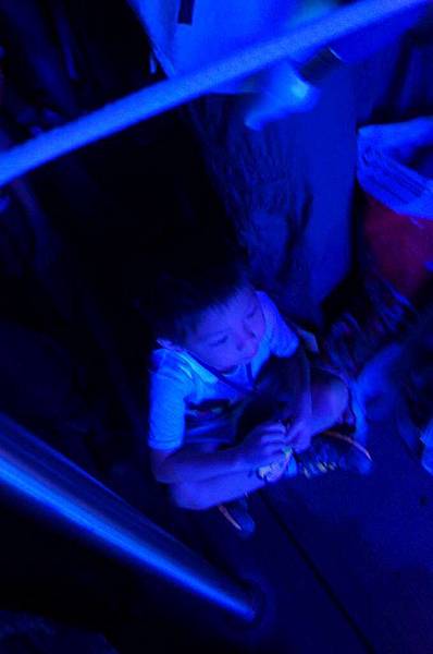 DSC06100-1024.jpg DSC06100-1024.jpg