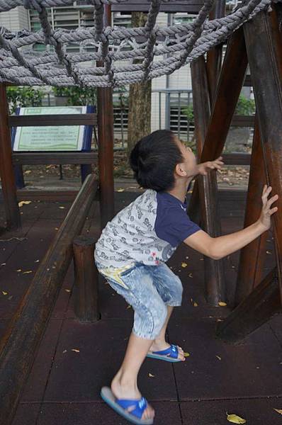 DSC02549-1024.jpg DSC02549-1024.jpg