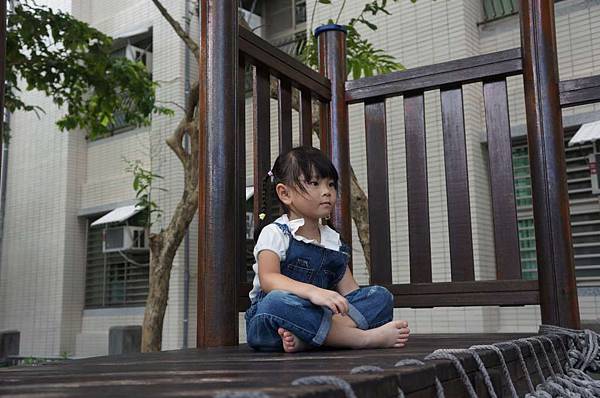 DSC02563-1024.jpg DSC02563-1024.jpg