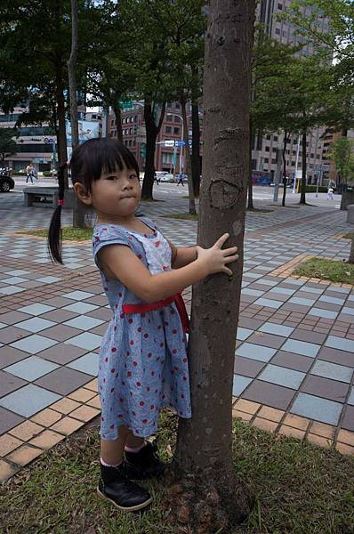 DSC02642-1024.jpg DSC02642-1024.jpg