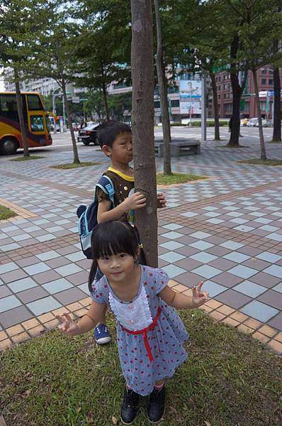 DSC02645-1024.jpg DSC02645-1024.jpg