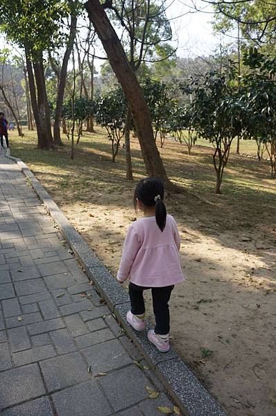 DSC06089-1024.jpg DSC06089-1024.jpg