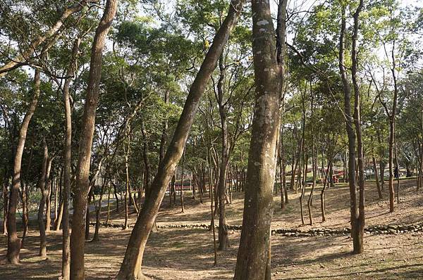 DSC06078-1024.jpg DSC06078-1024.jpg