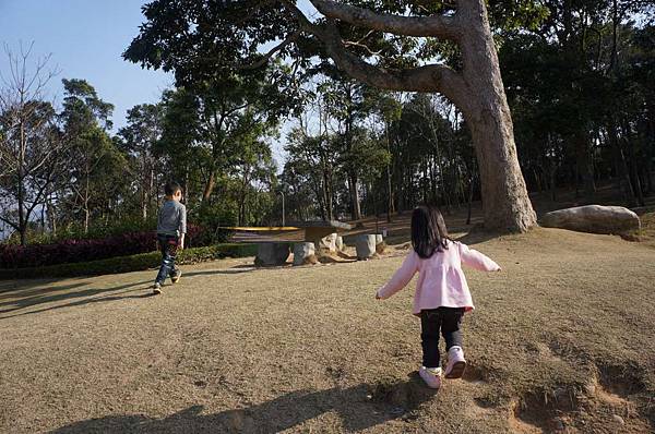 DSC06217-1024.jpg DSC06217-1024.jpg