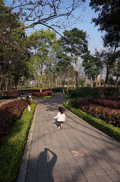 DSC06230-1024.jpg DSC06230-1024.jpg