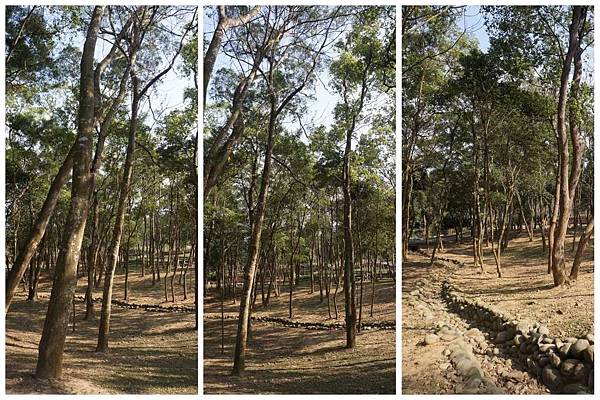 P13-1024.jpg P13-1024.jpg