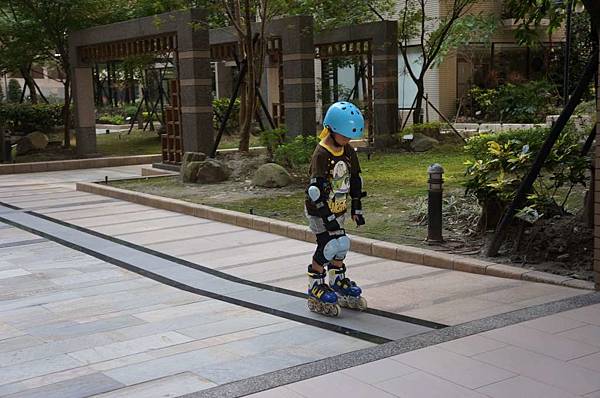 DSC02722-1024.jpg DSC02722-1024.jpg