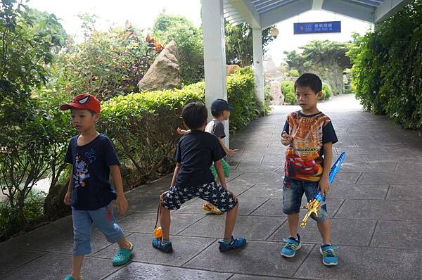 DSC02816-1024.jpg DSC02816-1024.jpg