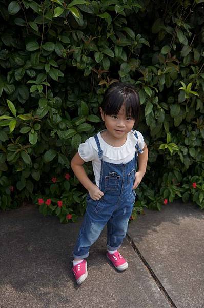 DSC02883-1024.jpg DSC02883-1024.jpg