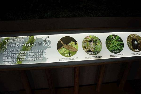 DSC04546-1024.jpg DSC04546-1024.jpg