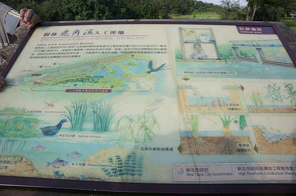 DSC04601-1024.jpg DSC04601-1024.jpg