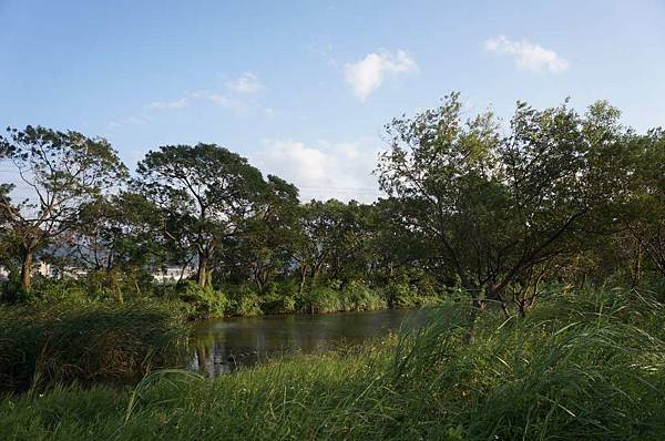 DSC04626-1024.jpg DSC04626-1024.jpg