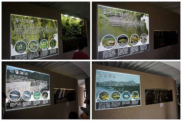 P01-1024.jpg P01-1024.jpg