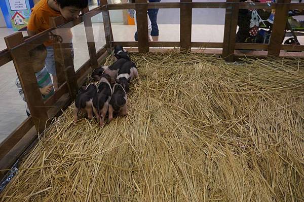 DSC04749-1024.jpg DSC04749-1024.jpg