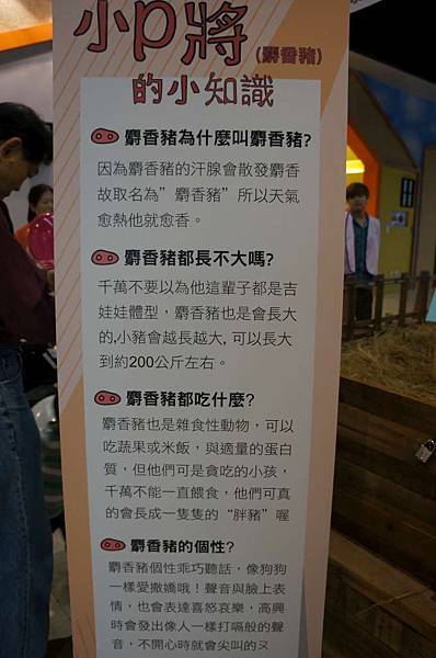 DSC04753-1024.jpg DSC04753-1024.jpg