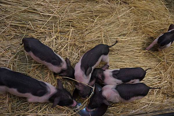 DSC04767-1024.jpg DSC04767-1024.jpg