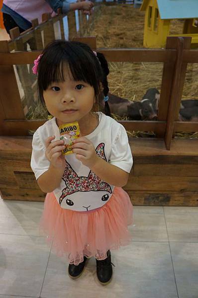 DSC04770-1024.jpg DSC04770-1024.jpg