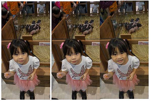 P03-1024.jpg P03-1024.jpg