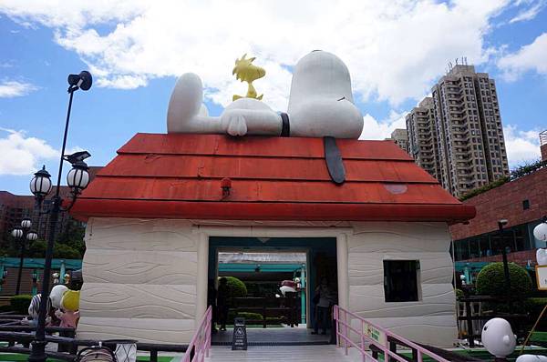 DSC06654-1024.jpg DSC06654-1024.jpg