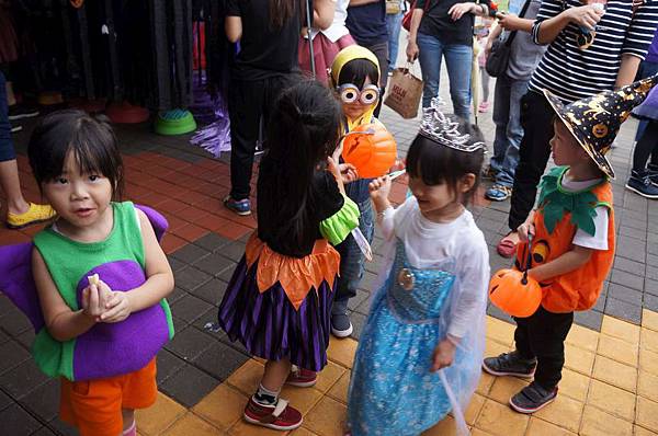 DSC04877-1024.jpg DSC04877-1024.jpg