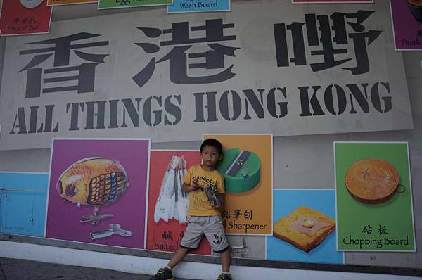 DSC06866-1024.jpg DSC06866-1024.jpg