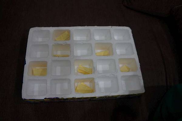 DSC05151-1024.jpg DSC05151-1024.jpg