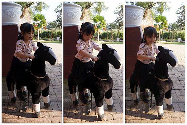 P07-1024.jpg P07-1024.jpg