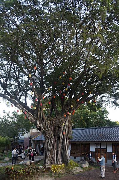 DSC06514-1024.jpg DSC06514-1024.jpg