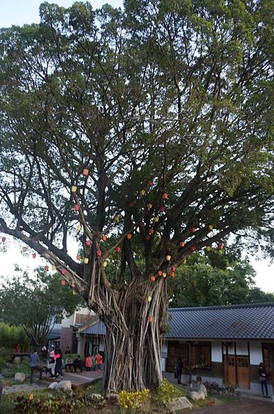 DSC06518-1024.jpg DSC06518-1024.jpg