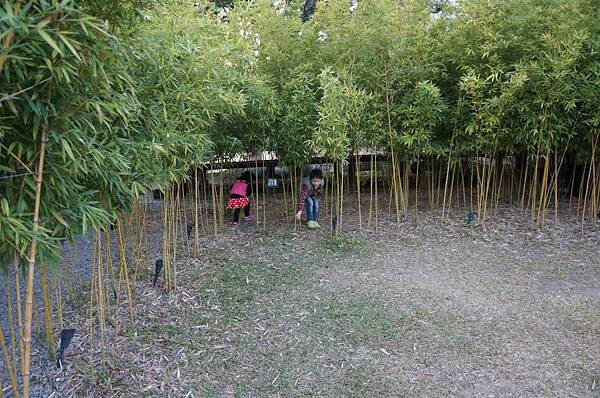 DSC06544-1024.jpg DSC06544-1024.jpg