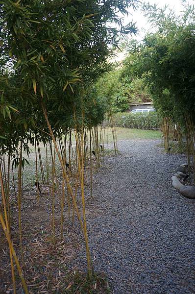 DSC06546-1024.jpg DSC06546-1024.jpg