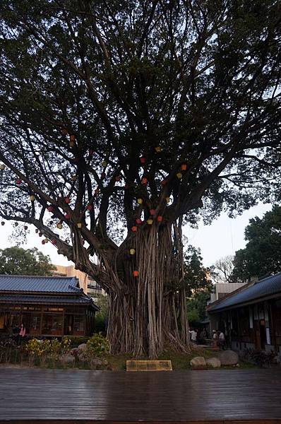 DSC06579-1024.jpg DSC06579-1024.jpg