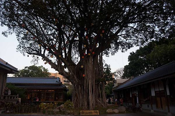 DSC06580-1024.jpg DSC06580-1024.jpg