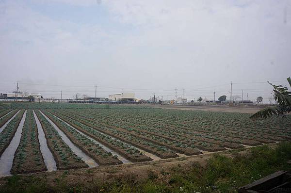 DSC06861-1024.jpg DSC06861-1024.jpg