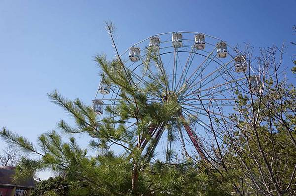 DSC00931-1024.jpg DSC00931-1024.jpg
