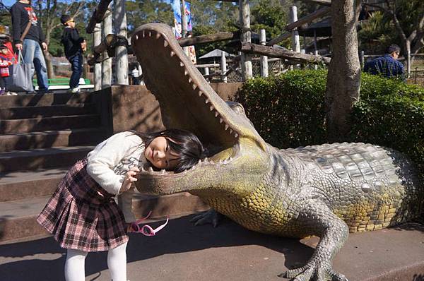 DSC01037-1024.jpg DSC01037-1024.jpg