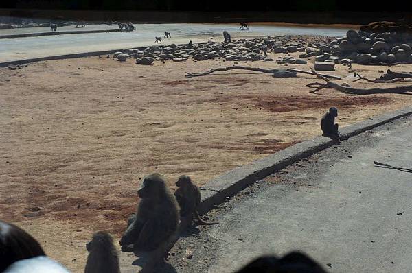 DSC01053-1024.jpg DSC01053-1024.jpg