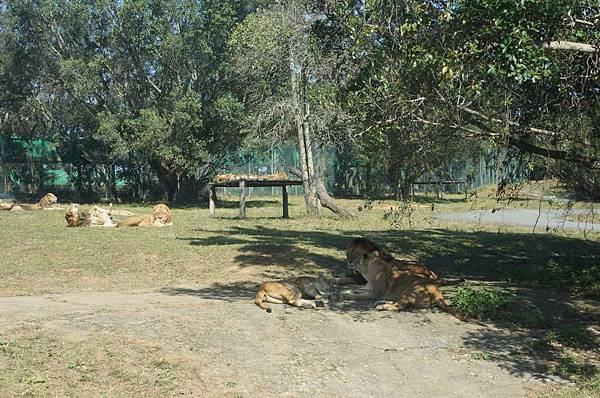 DSC01055-1024.jpg DSC01055-1024.jpg