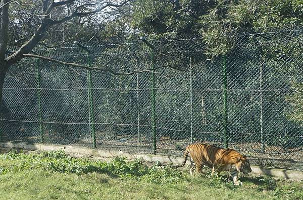 DSC01046-1024.jpg DSC01046-1024.jpg