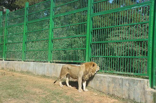 DSC01057-1024.jpg DSC01057-1024.jpg
