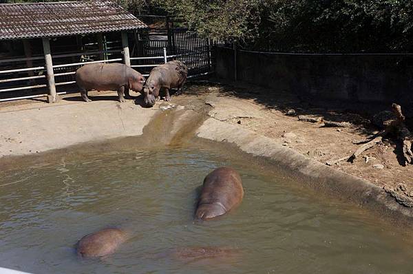 DSC01071-1024.jpg DSC01071-1024.jpg