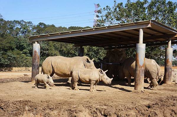 DSC01073-1024.jpg DSC01073-1024.jpg