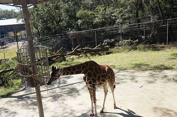 DSC01078-1024.jpg DSC01078-1024.jpg